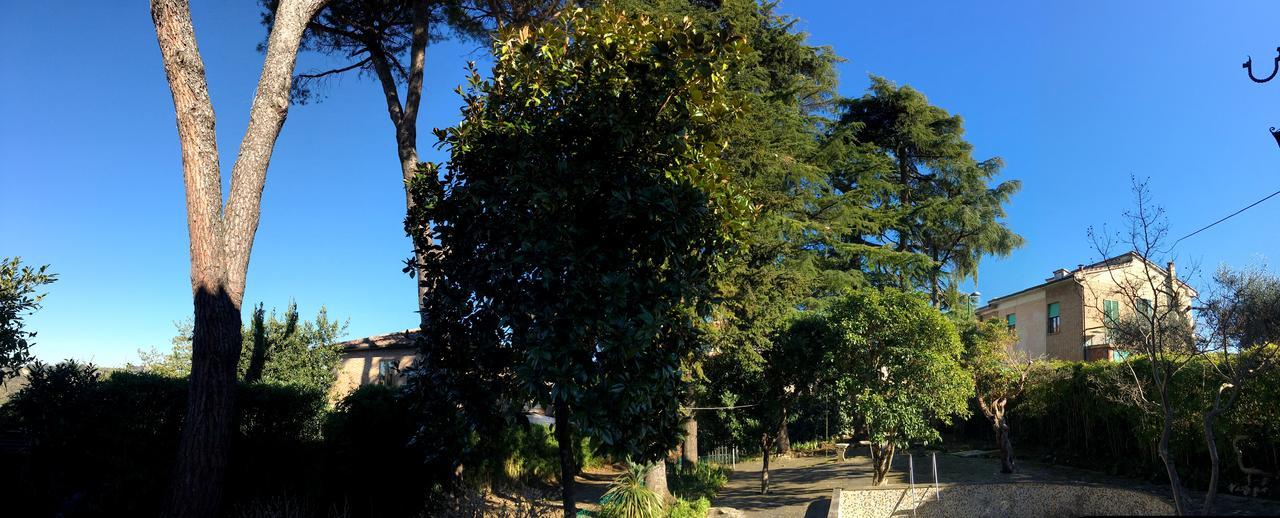 Villa Paola B&B 锡耶纳 外观 照片